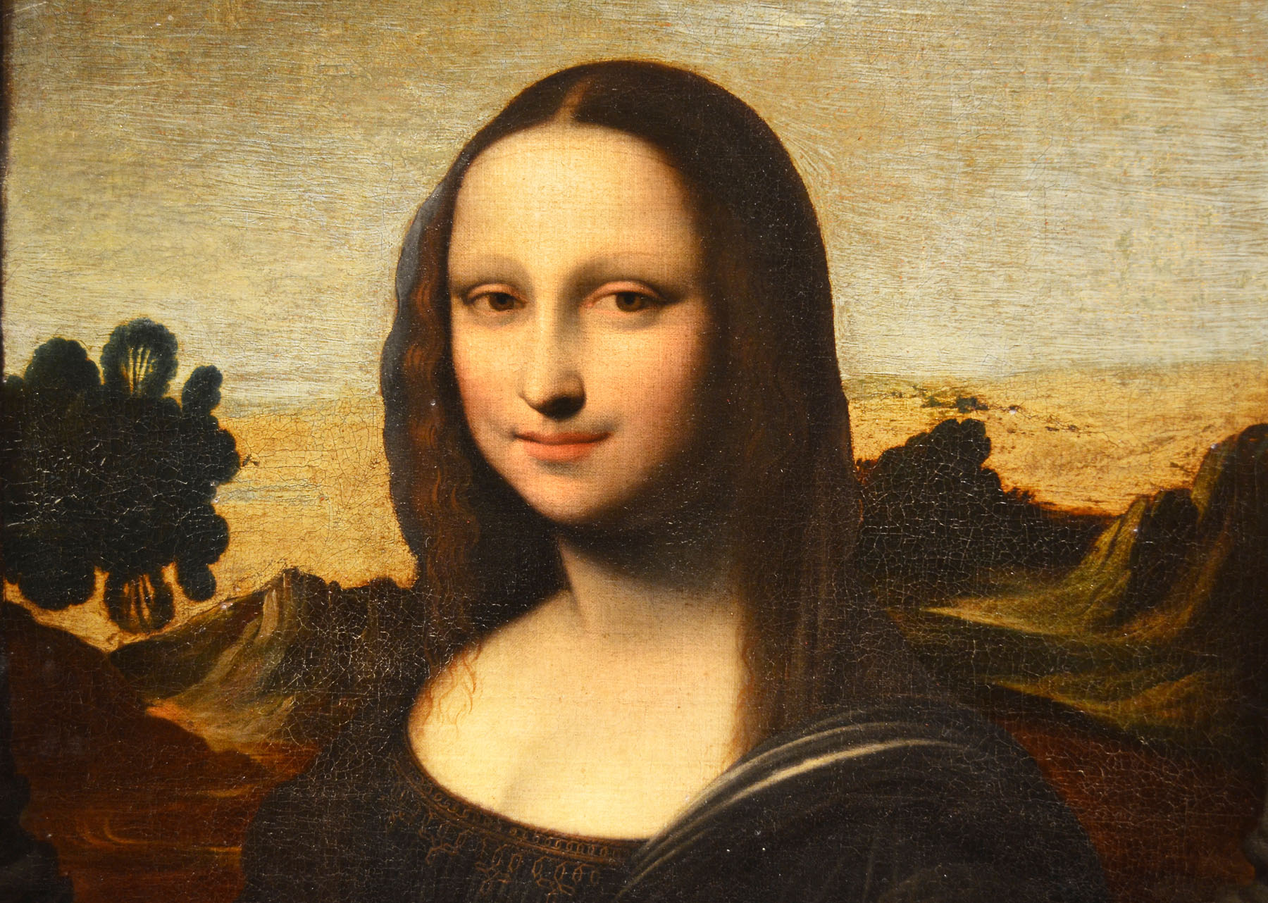 Mona Lisa's eyes may reveal model's identity, expert claims, Leonardo da  Vinci